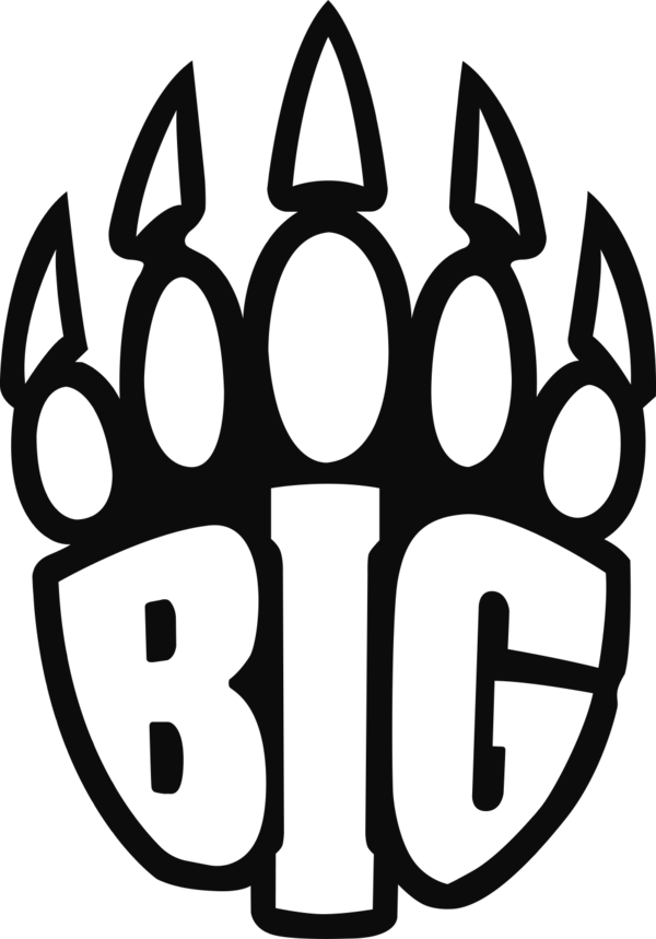 BIG Academy